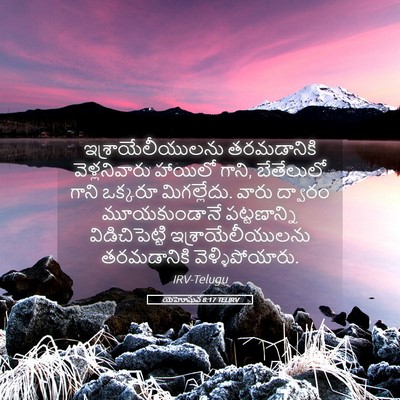 Picture 05 - యెహోషువ 8:17 TELIRV - ఇశ్రాయేలీయులను - Bible Verse Picture
