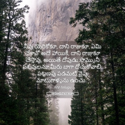Picture 05 - యెహోషువ 8:2 TELIRV - నీవు యెరికోకూ, - Bible Verse Picture