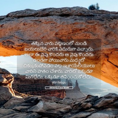Picture 05 - యెహోషువ 8:22 TELIRV - తక్కిన వారు - Bible Verse Picture