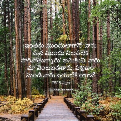 Picture 05 - యెహోషువ 8:6 TELIRV - ఇంతకు ముందులాగానే - Bible Verse Picture