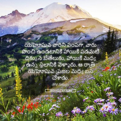 Picture 05 - యెహోషువ 8:9 TELIRV - యెహోషువ వారిని - Bible Verse Picture