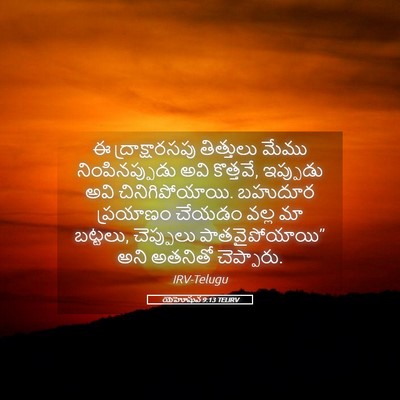 Picture 05 - యెహోషువ 9:13 TELIRV - ఈ ద్రాక్షారసపు - Bible Verse Picture