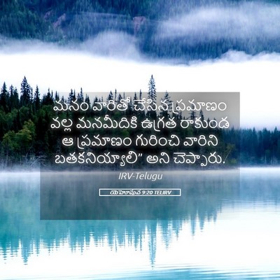 Picture 05 - యెహోషువ 9:20 TELIRV - మనం వారితో చేసిన - Bible Verse Picture