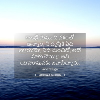 Picture 05 - యెహోషువ 9:25 TELIRV - కాబట్టి మేము నీ - Bible Verse Picture