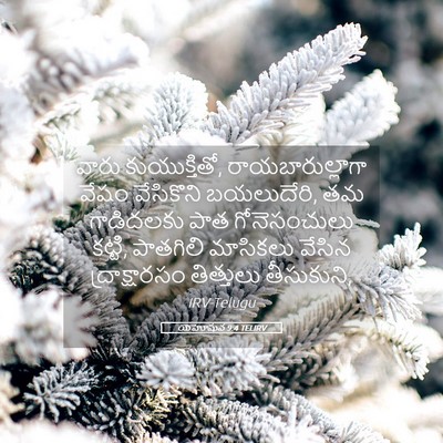 Picture 05 - యెహోషువ 9:4 TELIRV - వారు కుయుక్తితో, - Bible Verse Picture