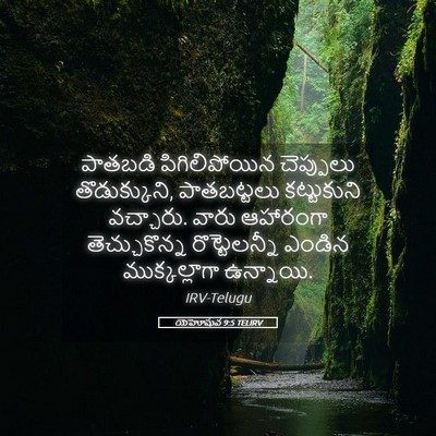 Picture 05 - యెహోషువ 9:5 TELIRV - పాతబడి - Bible Verse Picture