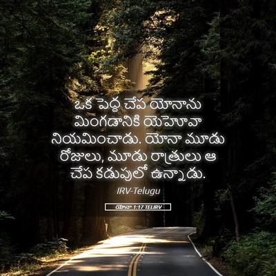 Picture 05 - యోనా 1:17 TELIRV - ఒక పెద్ద చేప - Bible Verse Picture