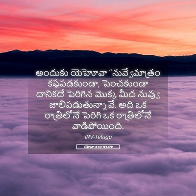Picture 05 - యోనా 4:10 TELIRV - అందుకు యెహోవా - Bible Verse Picture