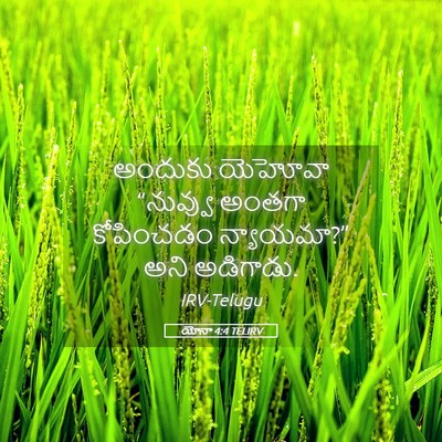 Picture 05 - యోనా 4:4 TELIRV - అందుకు యెహోవా - Bible Verse Picture