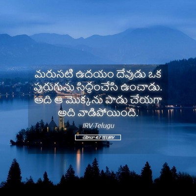 Picture 05 - యోనా 4:7 TELIRV - మరుసటి ఉదయం - Bible Verse Picture