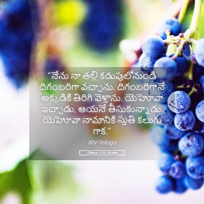 Picture 05 - యోబు 1:21 TELIRV - “నేను నా తల్లి - Bible Verse Picture