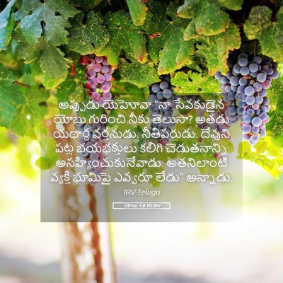Picture 05 - యోబు 1:8 TELIRV - అప్పుడు యెహోవా - Bible Verse Picture