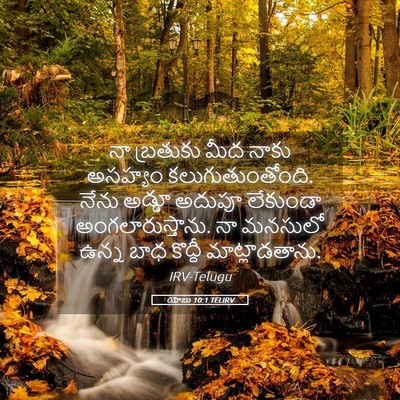 Picture 05 - యోబు 10:1 TELIRV - నా బ్రతుకు మీద - Bible Verse Picture