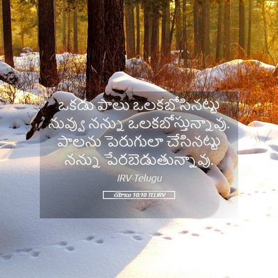 Picture 05 - యోబు 10:10 TELIRV - ఒకడు పాలు - Bible Verse Picture