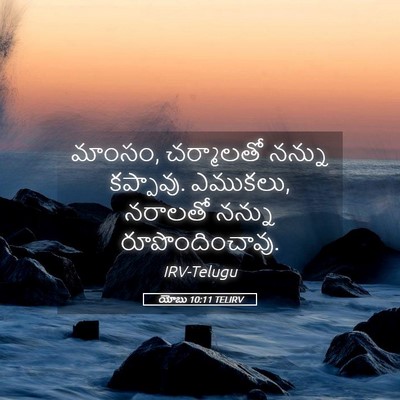 Picture 05 - యోబు 10:11 TELIRV - మాంసం, చర్మాలతో - Bible Verse Picture