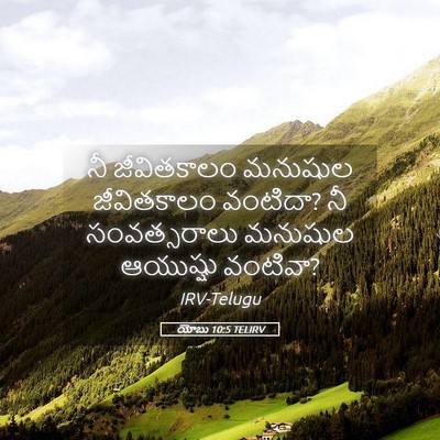 Picture 05 - యోబు 10:5 TELIRV - నీ జీవితకాలం - Bible Verse Picture