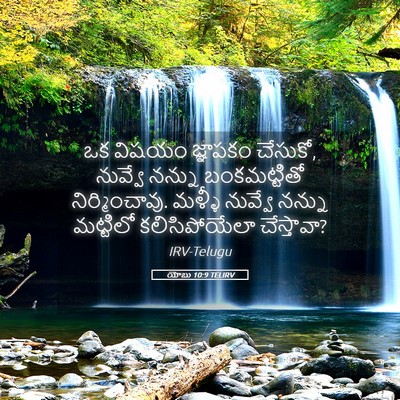 Picture 05 - యోబు 10:9 TELIRV - ఒక విషయం జ్ఞాపకం - Bible Verse Picture