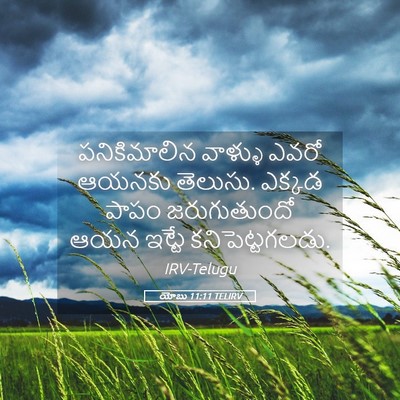 Picture 05 - యోబు 11:11 TELIRV - పనికిమాలిన వాళ్ళు - Bible Verse Picture