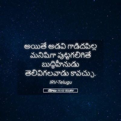 Picture 05 - యోబు 11:12 TELIRV - అయితే అడవి - Bible Verse Picture
