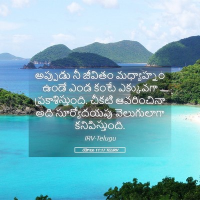 Picture 05 - యోబు 11:17 TELIRV - అప్పుడు నీ జీవితం - Bible Verse Picture