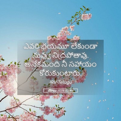 Picture 05 - యోబు 11:19 TELIRV - ఎవరి భయమూ లేకుండా - Bible Verse Picture