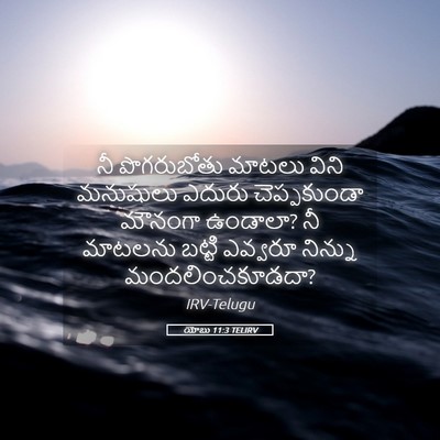 Picture 05 - యోబు 11:3 TELIRV - నీ పొగరుబోతు - Bible Verse Picture