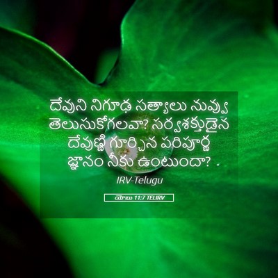 Picture 05 - యోబు 11:7 TELIRV - దేవుని నిగూఢ - Bible Verse Picture