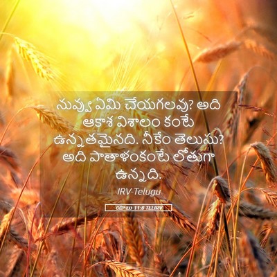 Picture 05 - యోబు 11:8 TELIRV - నువ్వు ఏమి - Bible Verse Picture
