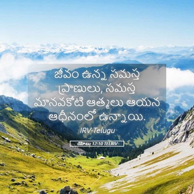 Picture 05 - యోబు 12:10 TELIRV - జీవం ఉన్న సమస్త - Bible Verse Picture
