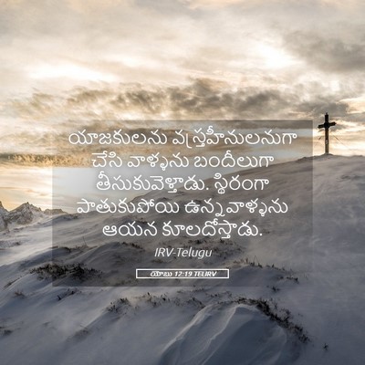 Picture 05 - యోబు 12:19 TELIRV - యాజకులను - Bible Verse Picture