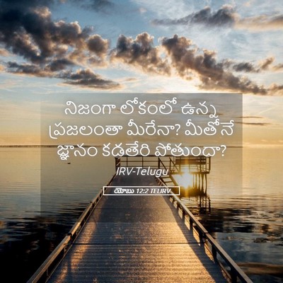 Picture 05 - యోబు 12:2 TELIRV - నిజంగా లోకంలో - Bible Verse Picture
