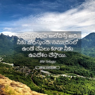 Picture 05 - యోబు 12:8 TELIRV - భూమి గురించి - Bible Verse Picture