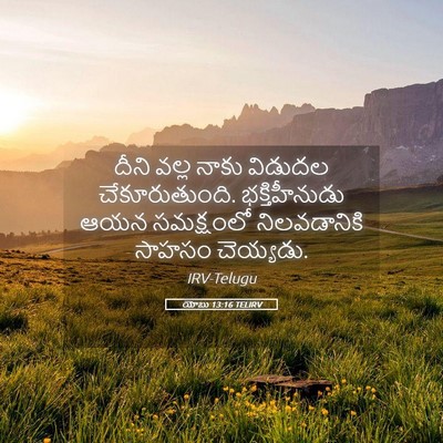 Picture 05 - యోబు 13:16 TELIRV - దీని వల్ల నాకు - Bible Verse Picture