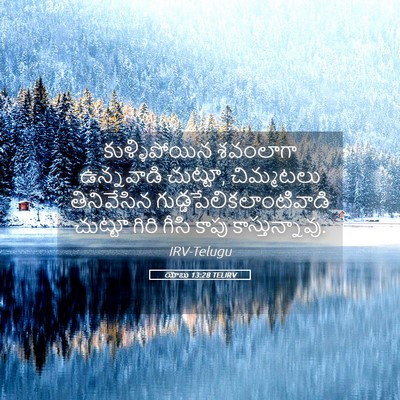 Picture 05 - యోబు 13:28 TELIRV - కుళ్ళిపోయిన - Bible Verse Picture