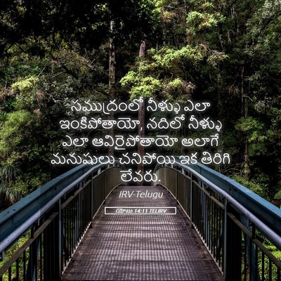 Picture 05 - యోబు 14:11 TELIRV - సముద్రంలో నీళ్ళు - Bible Verse Picture