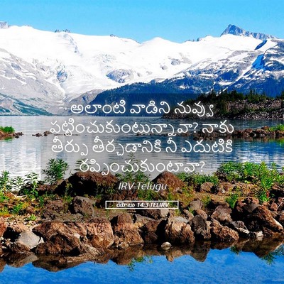 Picture 05 - యోబు 14:3 TELIRV - అలాంటి వాడిని - Bible Verse Picture