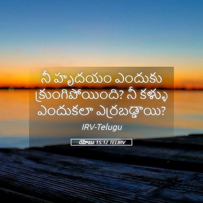 Picture 05 - యోబు 15:12 TELIRV - నీ హృదయం ఎందుకు - Bible Verse Picture