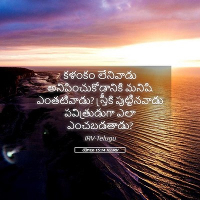Picture 05 - యోబు 15:14 TELIRV - కళంకం లేనివాడు - Bible Verse Picture