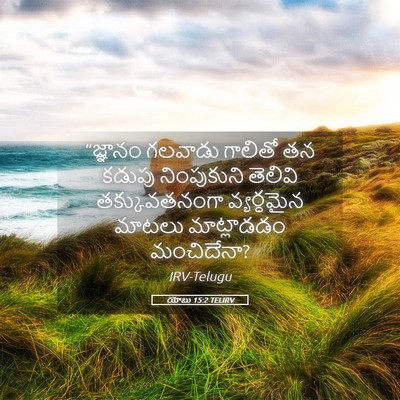 Picture 05 - యోబు 15:2 TELIRV - “జ్ఞానం గలవాడు - Bible Verse Picture