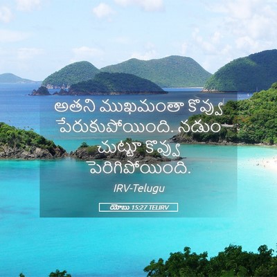 Picture 05 - యోబు 15:27 TELIRV - అతని ముఖమంతా - Bible Verse Picture