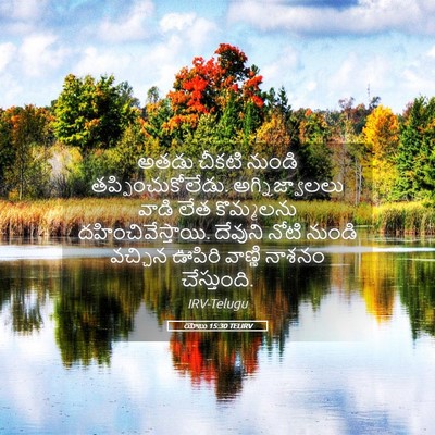 Picture 05 - యోబు 15:30 TELIRV - అతడు చీకటి నుండి - Bible Verse Picture