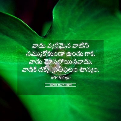 Picture 05 - యోబు 15:31 TELIRV - వాడు వ్యర్ధమైన - Bible Verse Picture
