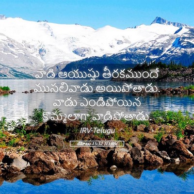 Picture 05 - యోబు 15:32 TELIRV - వాడి ఆయుష్షు - Bible Verse Picture
