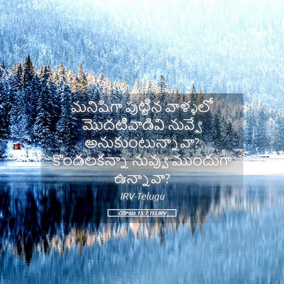 Picture 05 - యోబు 15:7 TELIRV - మనిషిగా పుట్టిన - Bible Verse Picture