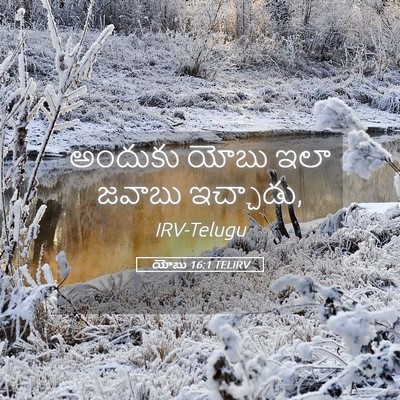 Picture 05 - యోబు 16:1 TELIRV - అందుకు యోబు ఇలా - Bible Verse Picture