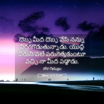 Picture 05 - యోబు 16:14 TELIRV - దెబ్బ మీద దెబ్బ - Bible Verse Picture