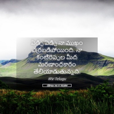 Picture 05 - యోబు 16:17 TELIRV - ఏడ్చి ఏడ్చి నా - Bible Verse Picture