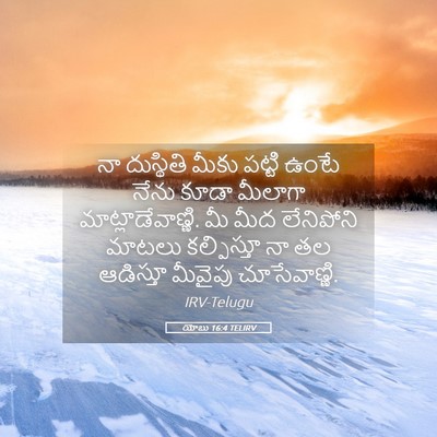 Picture 05 - యోబు 16:4 TELIRV - నా దుస్థితి మీకు - Bible Verse Picture
