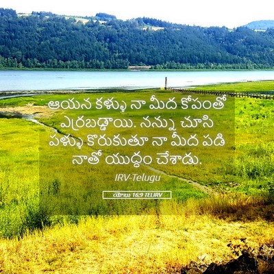 Picture 05 - యోబు 16:9 TELIRV - ఆయన కళ్ళు నా మీద - Bible Verse Picture