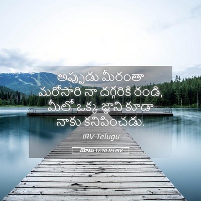 Picture 05 - యోబు 17:10 TELIRV - అప్పుడు మీరంతా - Bible Verse Picture